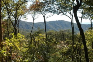 north georgia