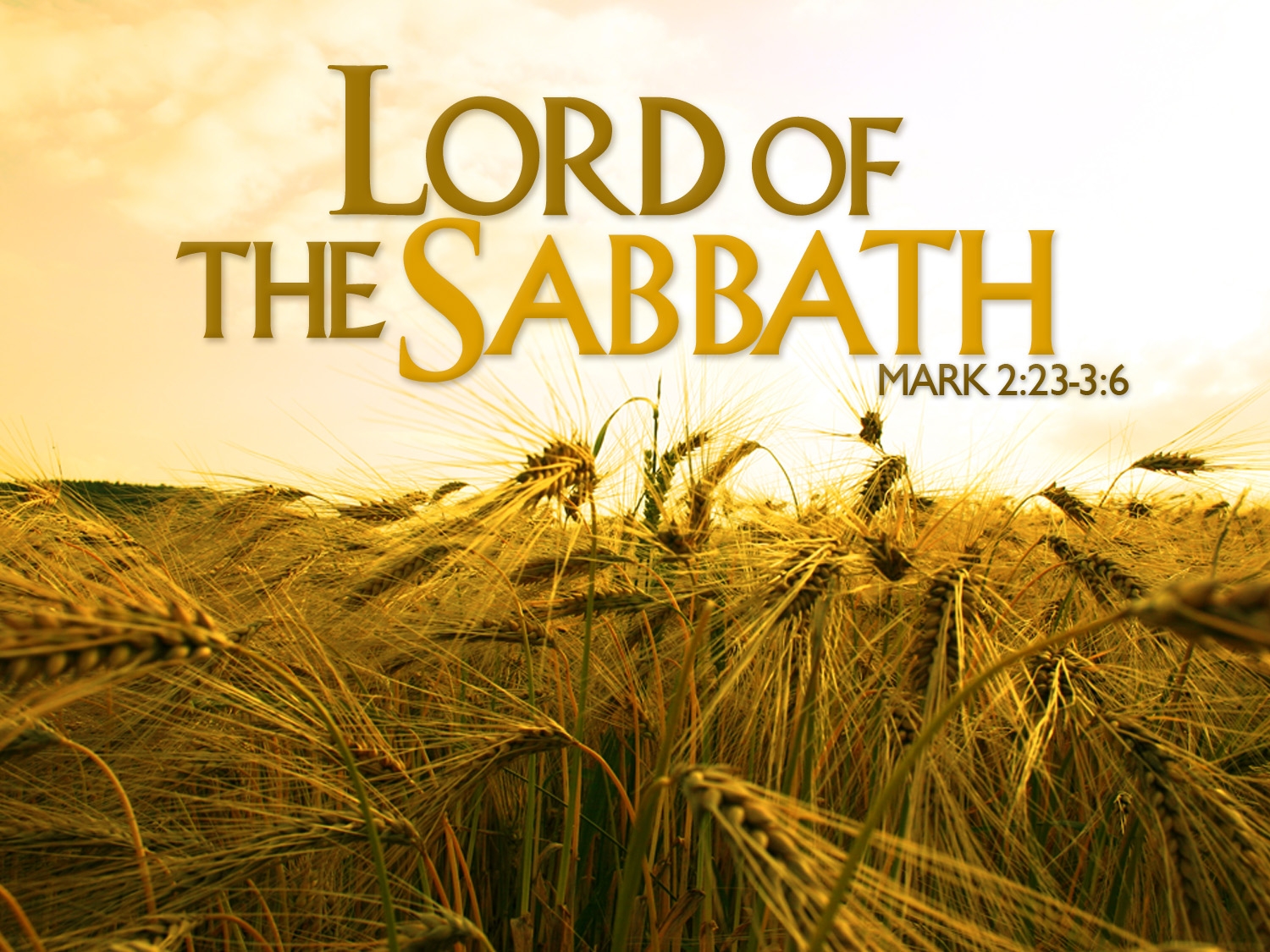 Keep holy the sabbath. Our Gospel for January 22, 2013 | biblesharingonline